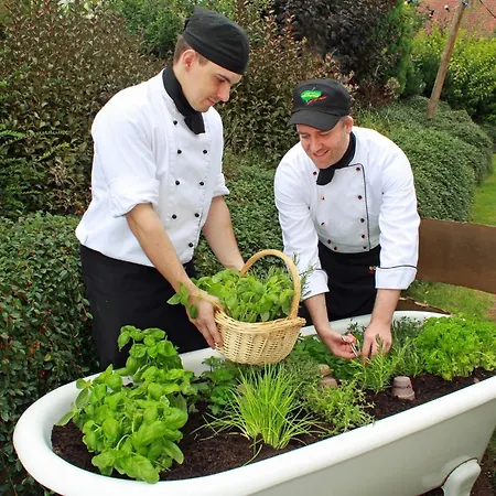 Haus Wiesengrund فندق هالنغبرغ