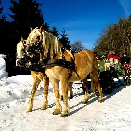 فندق Haus Wiesengrund هالنغبرغ