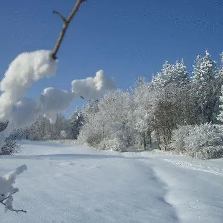 Haus Wiesengrund Otel 4*