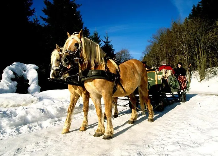 Szálloda Haus Wiesengrund Hallenberg