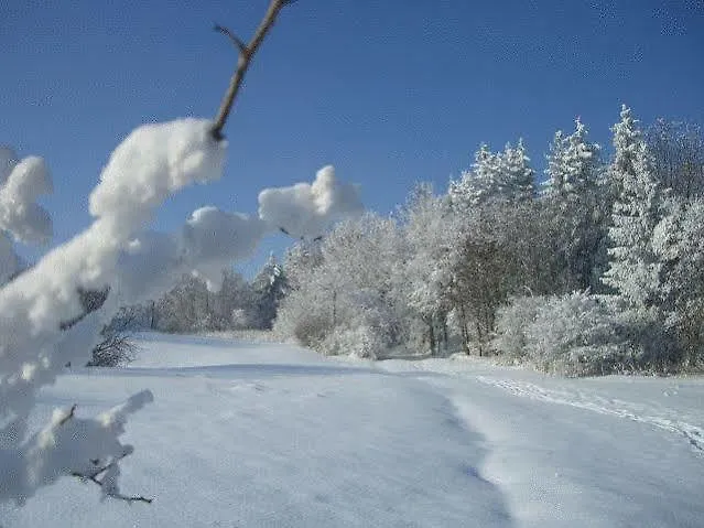 Haus Wiesengrund Hotel 4*